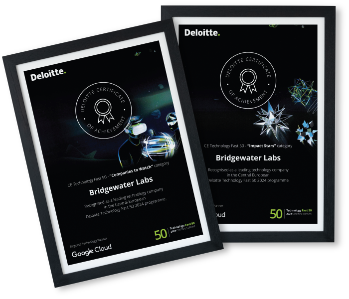 Deloitte CE 50 selection in categories Companies to watch and Impact stars